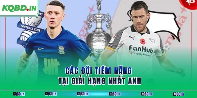 Hạng Nhất Anh 28 Các đội tiềm năng tại giải hạng nhất Anh
