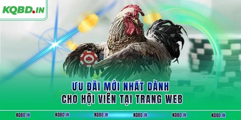 SV88 – Nhà Cái Đá Gà Uy Tín Với Ưu Đãi Thành Viên Hấp Dẫn 4 Ưu đãi mới nhất dành cho hội viên tại trang web